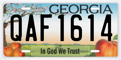 GA license plate QAF1614