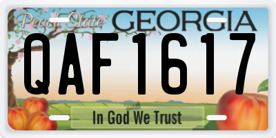 GA license plate QAF1617