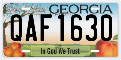 GA license plate QAF1630