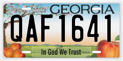 GA license plate QAF1641