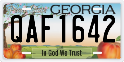 GA license plate QAF1642