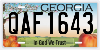 GA license plate QAF1643