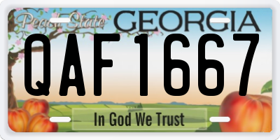 GA license plate QAF1667