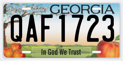GA license plate QAF1723