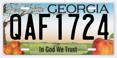 GA license plate QAF1724
