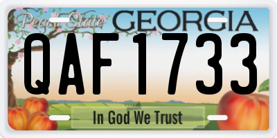 GA license plate QAF1733