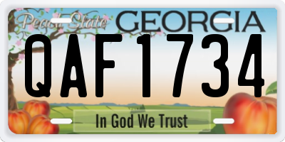 GA license plate QAF1734