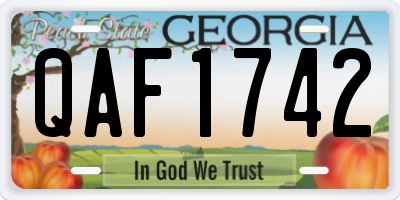 GA license plate QAF1742