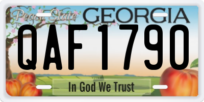 GA license plate QAF1790