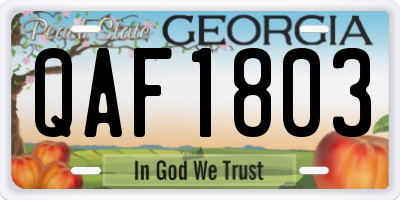 GA license plate QAF1803