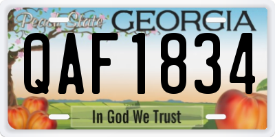 GA license plate QAF1834