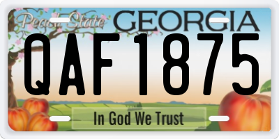 GA license plate QAF1875