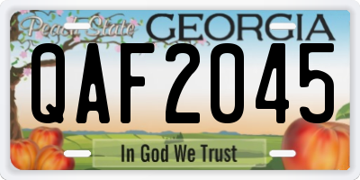 GA license plate QAF2045