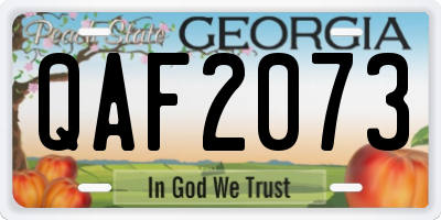 GA license plate QAF2073
