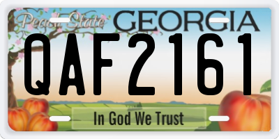 GA license plate QAF2161