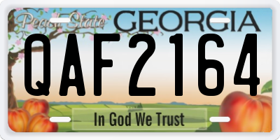 GA license plate QAF2164