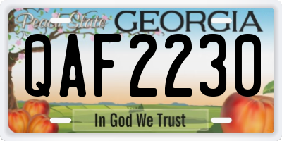GA license plate QAF2230