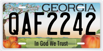 GA license plate QAF2242