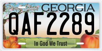 GA license plate QAF2289