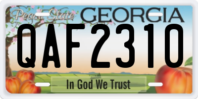 GA license plate QAF2310