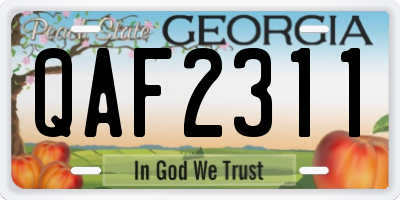 GA license plate QAF2311