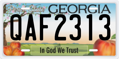 GA license plate QAF2313