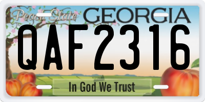 GA license plate QAF2316