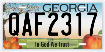 GA license plate QAF2317