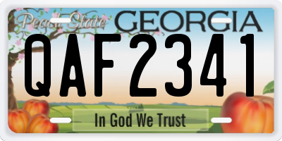 GA license plate QAF2341