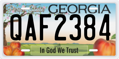 GA license plate QAF2384