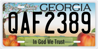 GA license plate QAF2389