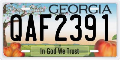 GA license plate QAF2391