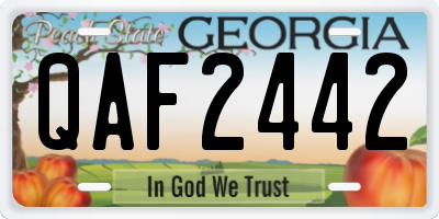 GA license plate QAF2442