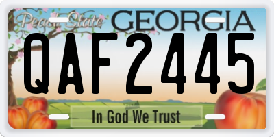 GA license plate QAF2445