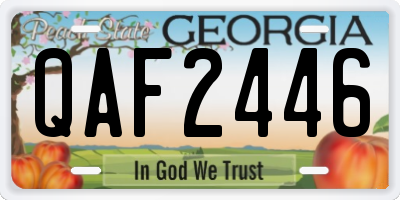 GA license plate QAF2446
