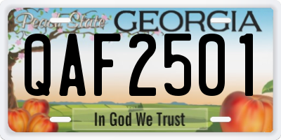 GA license plate QAF2501