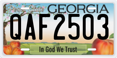 GA license plate QAF2503