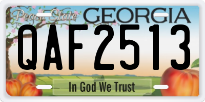 GA license plate QAF2513