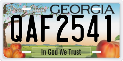 GA license plate QAF2541