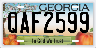 GA license plate QAF2599