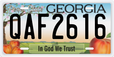 GA license plate QAF2616