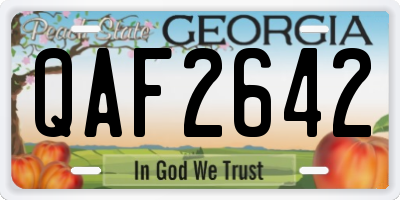 GA license plate QAF2642