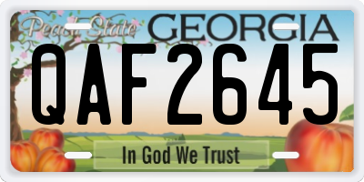 GA license plate QAF2645