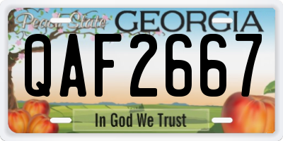 GA license plate QAF2667