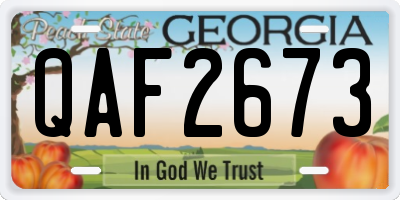 GA license plate QAF2673