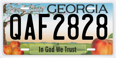 GA license plate QAF2828
