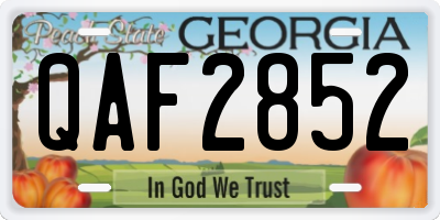 GA license plate QAF2852