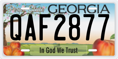 GA license plate QAF2877