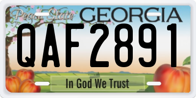 GA license plate QAF2891
