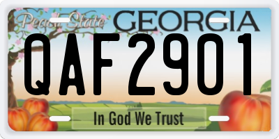GA license plate QAF2901